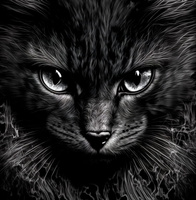 Panel dekoracyjny welur 48x48 PW030